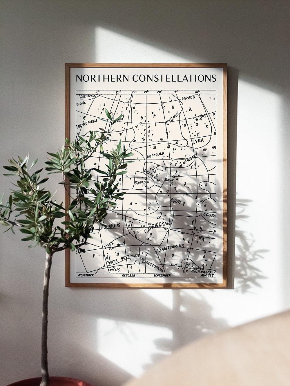 Northern Constellations