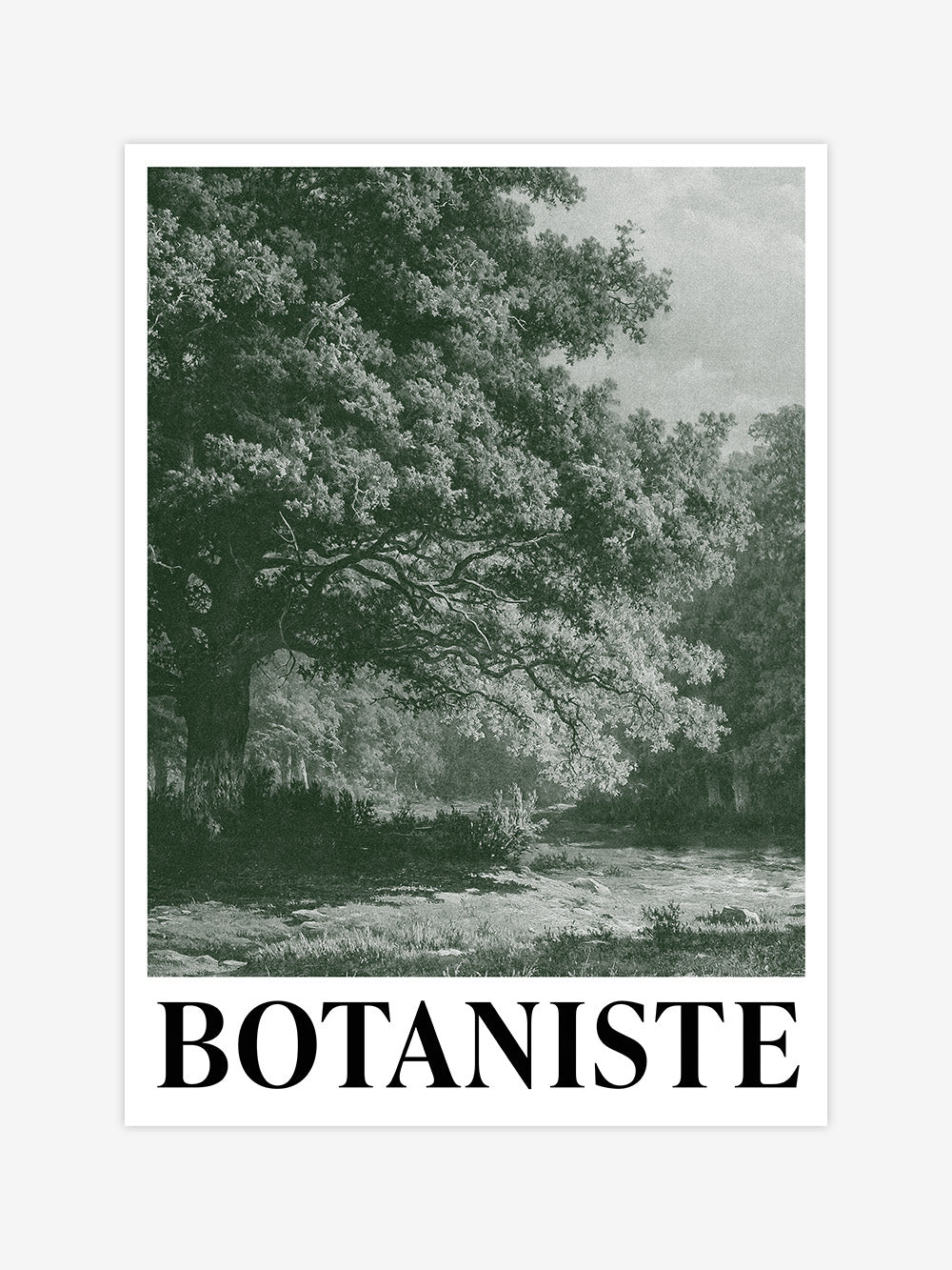 Botaniste