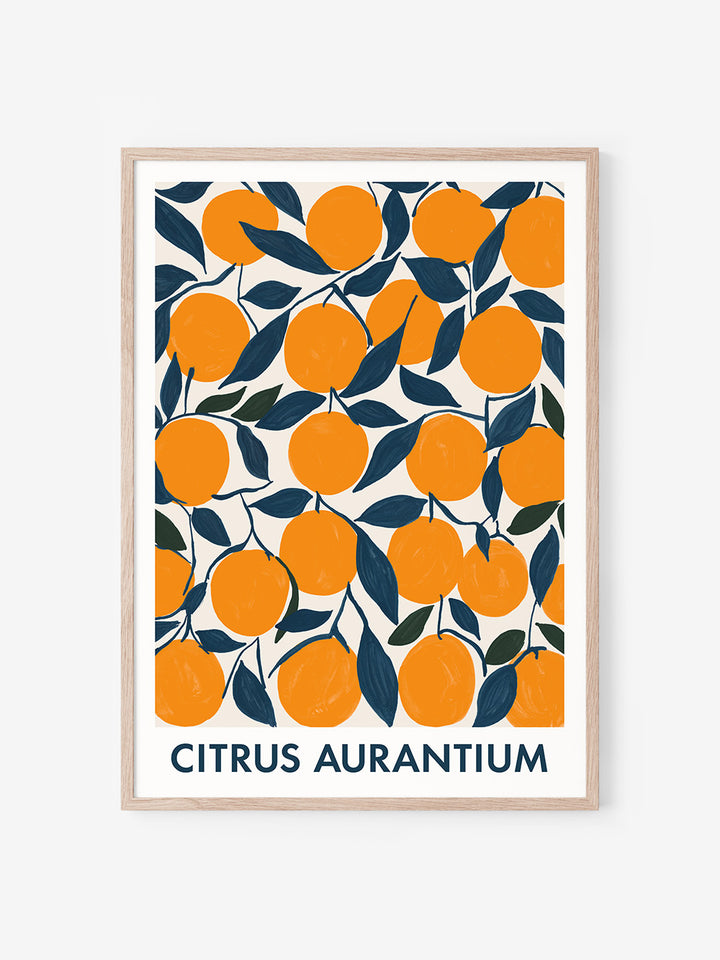 Citrus Aurantium