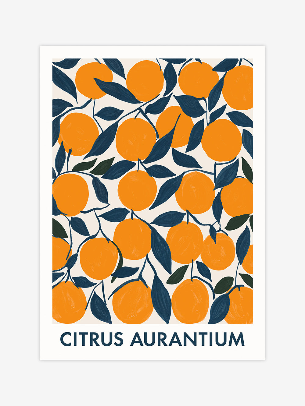 Citrus Aurantium