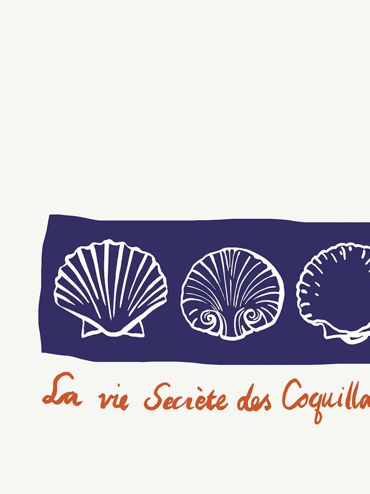 Coquillages