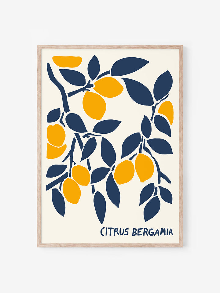 Citrus Bergamia