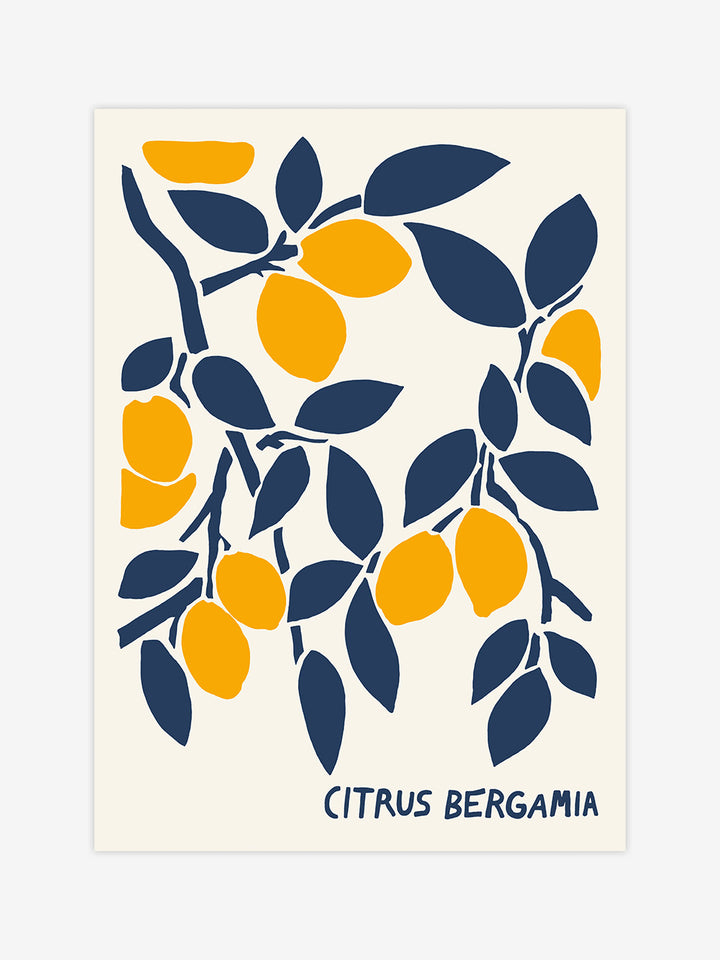 Citrus Bergamia