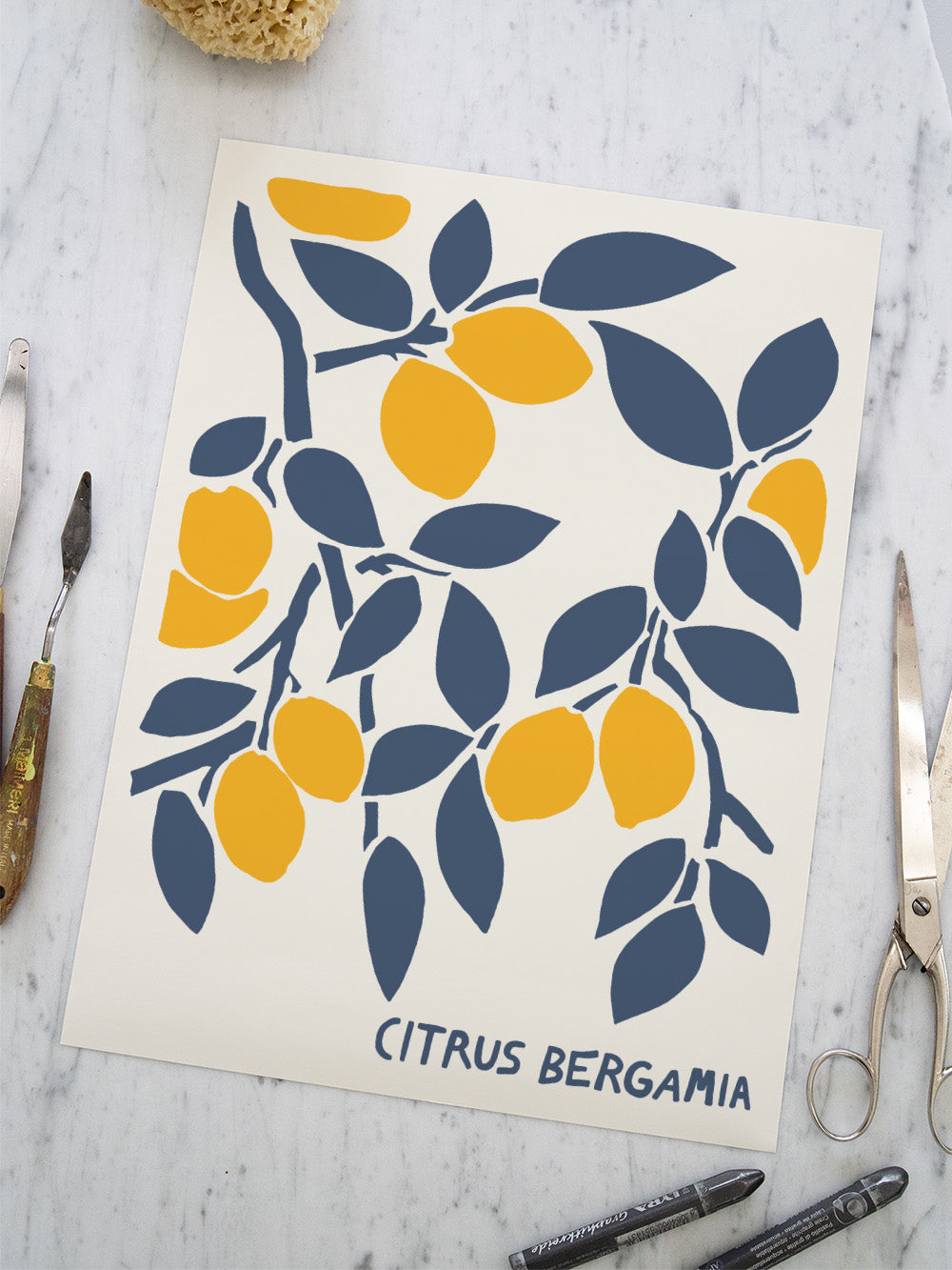 Citrus Bergamia