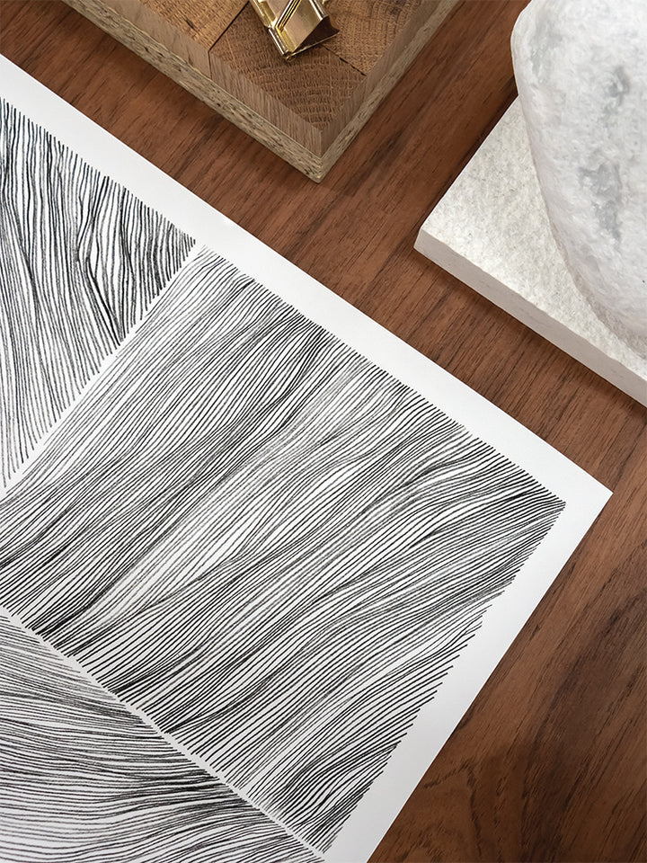 Contour Lines