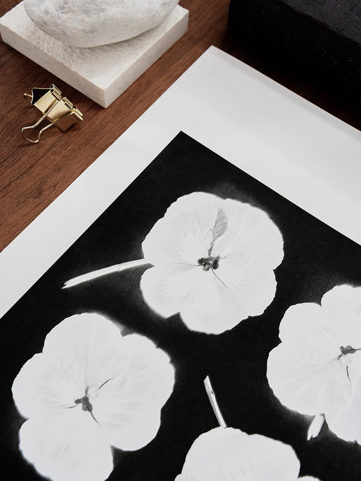 Cyanotype Flower