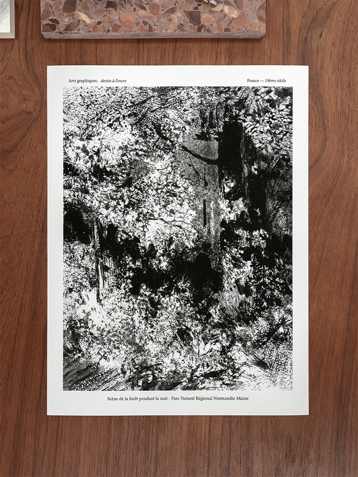 Forest Scene